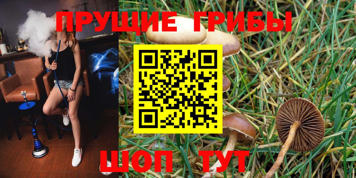 Псилоцибиновые грибы MAGIC MUSHROOMS Асино