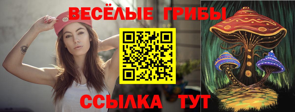Галлюциногенные грибы MAGIC MUSHROOMS  Галлюциногенные грибы Psilocybe  Асино  Вход с VPN 
